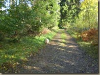 Laubwandern