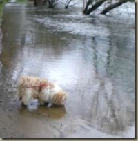 Hochwasser09-2