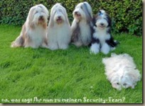 Jonahs Security-Team